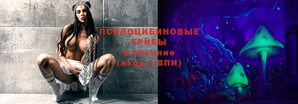 прущий лед Вяземский