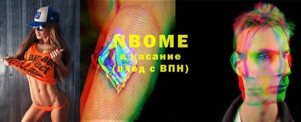 прущий лед Вяземский