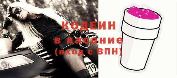 прущий лед Вяземский