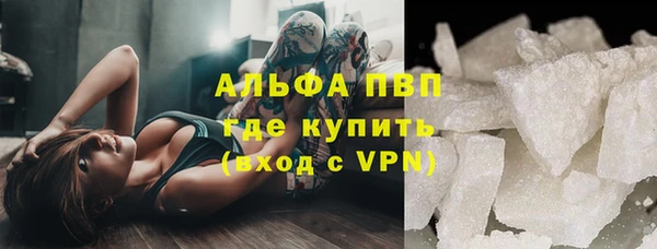 прущий лед Вяземский