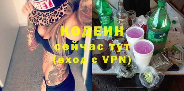 прущий лед Вяземский